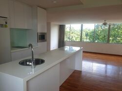 Nassim Regency (D10), Condominium #509218681